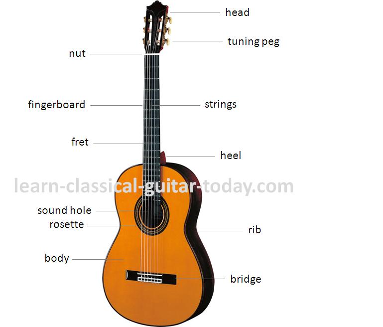 Buy guitar parts hotsell
